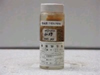 藏品(青星九刺鮨)的圖片